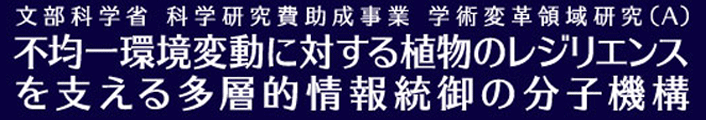文部科学省　科学研究費助成事業　学術変革領域研究(A)　不均一環境変動に対する植物のレジリエンスを支える多層的情報統御の分子機構